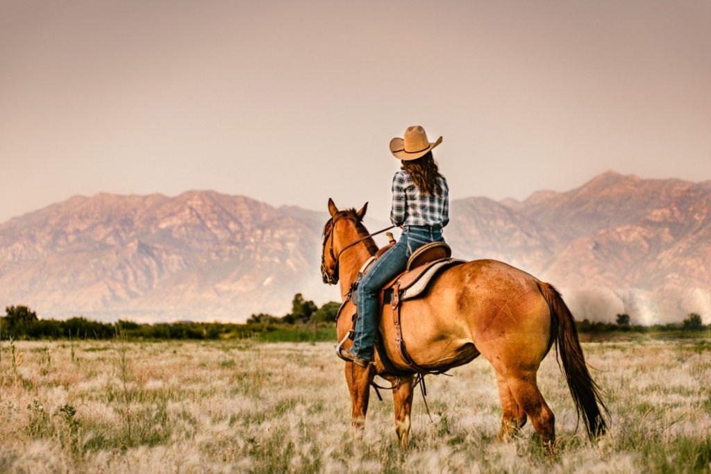 Feature image Cowgirl riding a horse in an open field with mountains in the background.