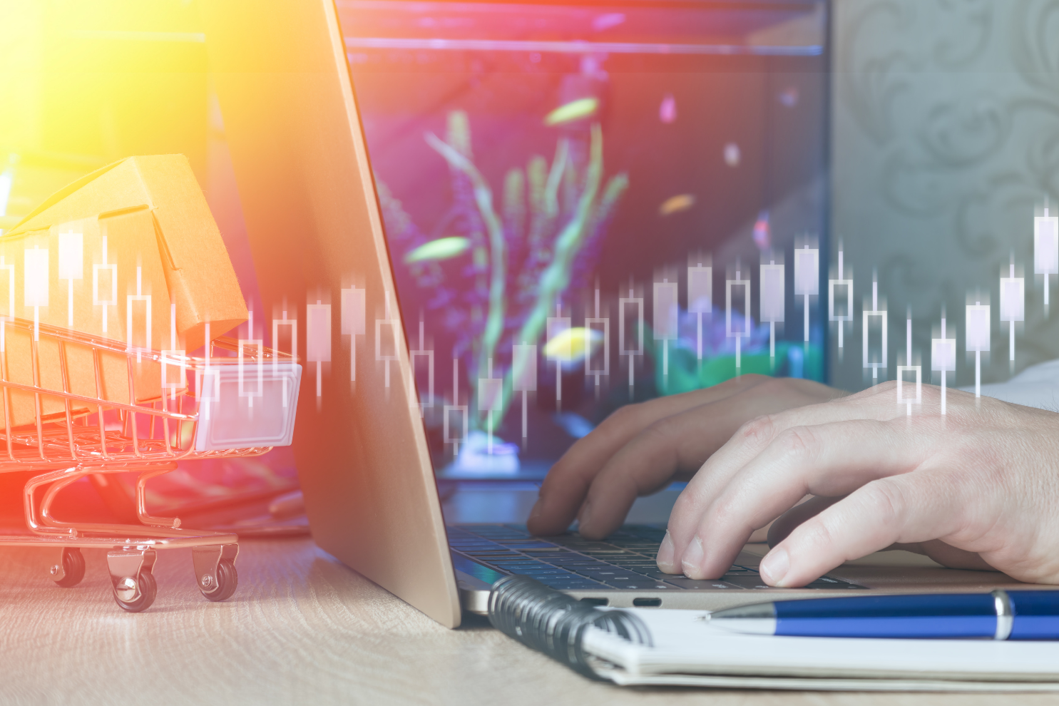 Retail Franchise Ownership Responsibilities in a Boot N Shoot Franchise